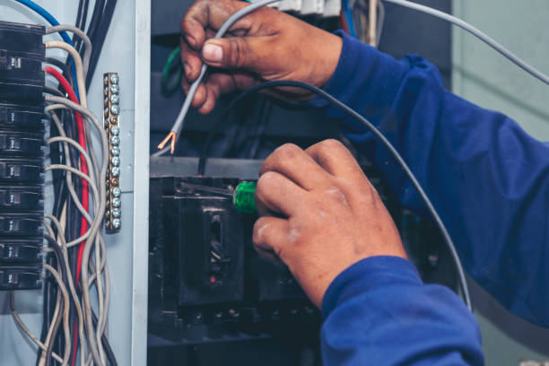 Best Electrical System Inspection  in Big Rapids, MI